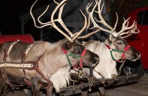 Auburn’s Sounding Off The Christmas Season